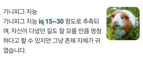 펭귄레코드 이미지
