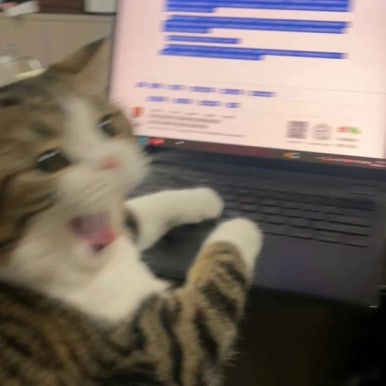 미도리 이미지