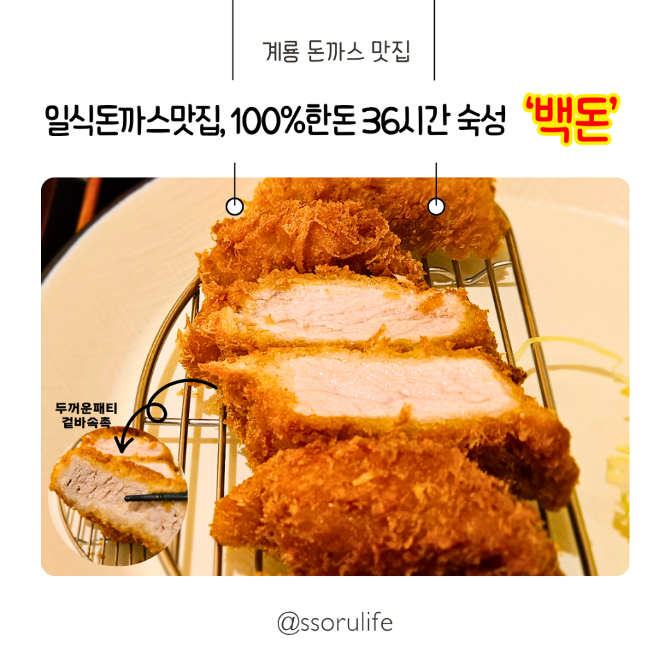 백돈 이미지