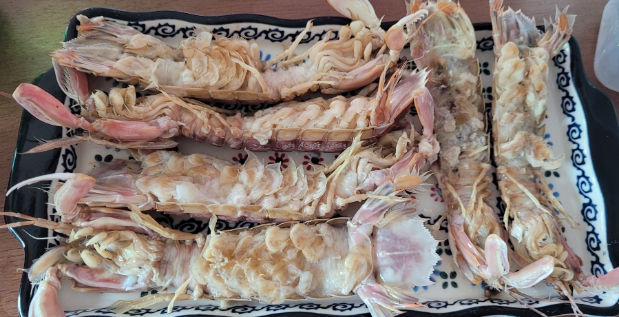 선영이네 이미지