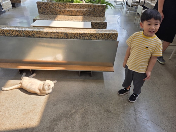 글라우 이미지