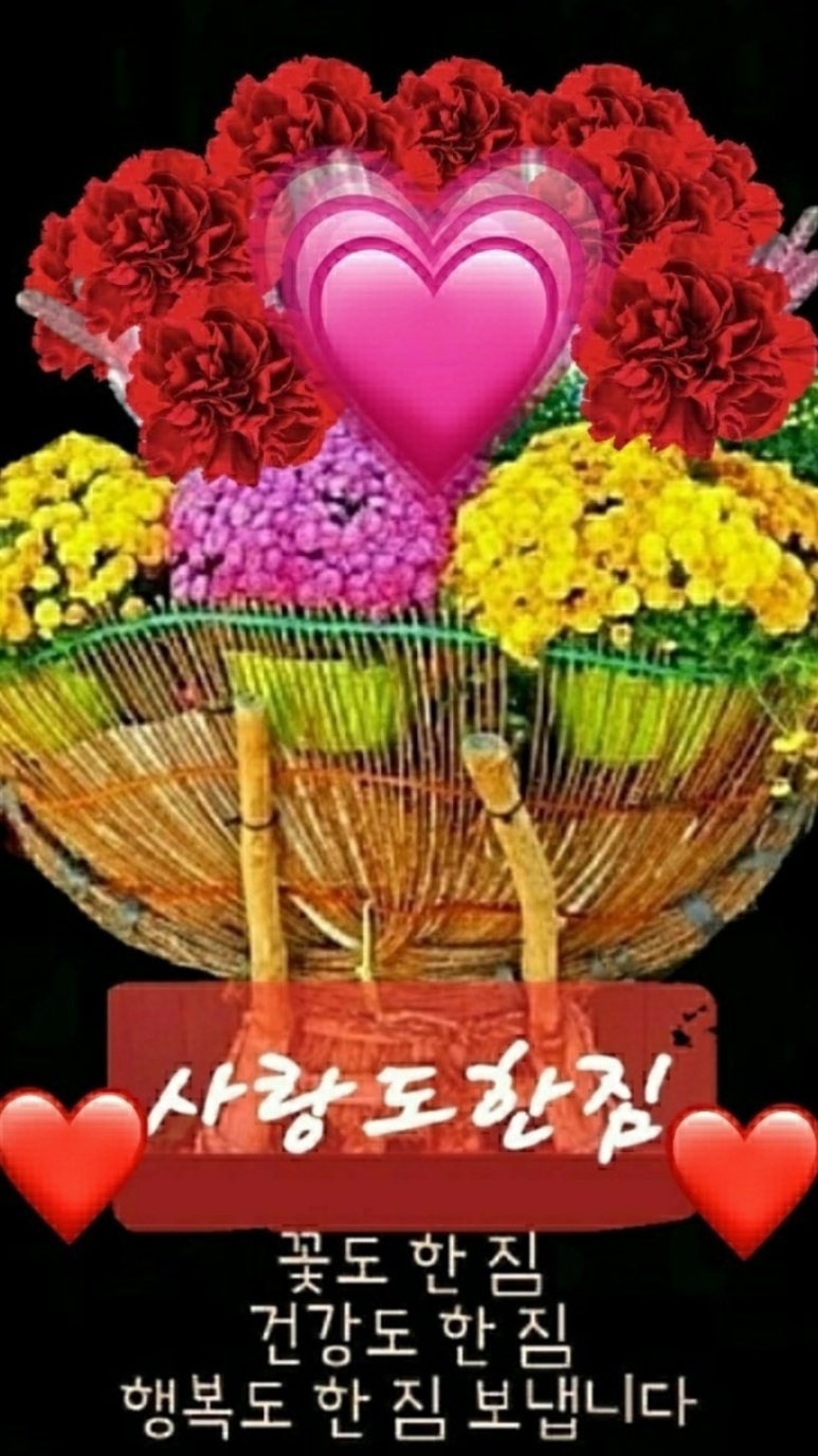 수지상사 이미지
