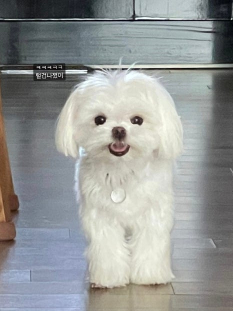 꿈꾸는니들공방 이미지