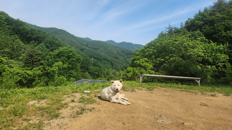 황간식자재마트 이미지