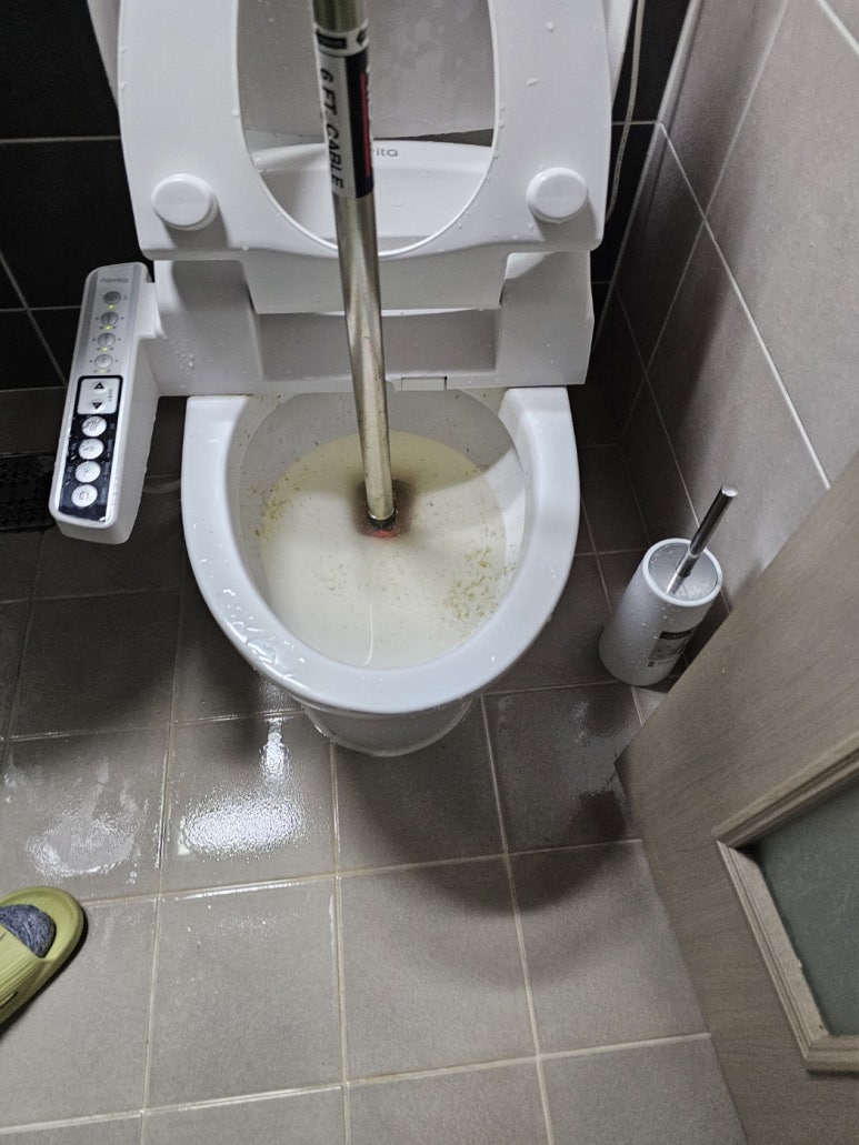 변기막힘 이미지