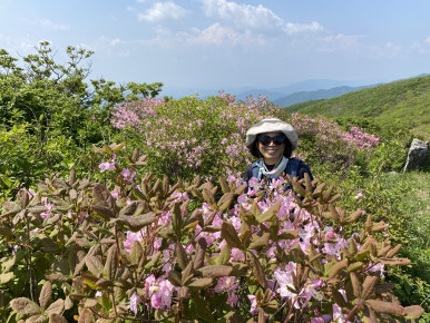 천둥산쉼터 이미지