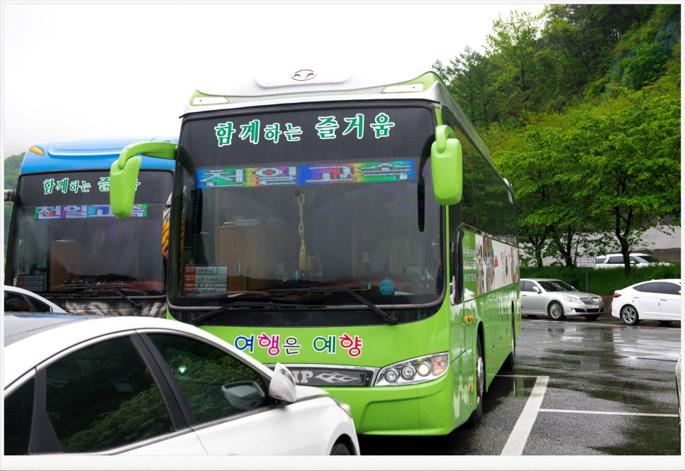 예향여행사 이미지
