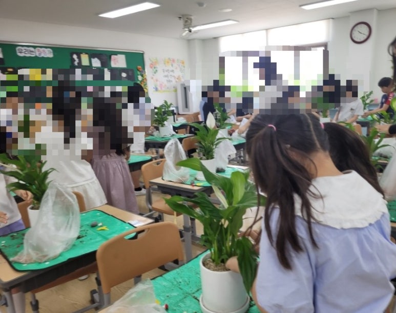 전주한들초등학교 이미지
