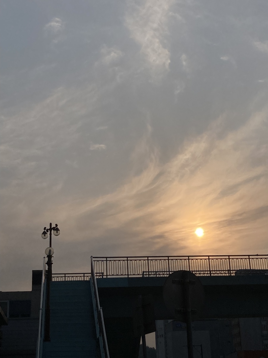 서사장벼룩시장 이미지
