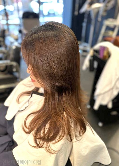 태라헤어 이미지