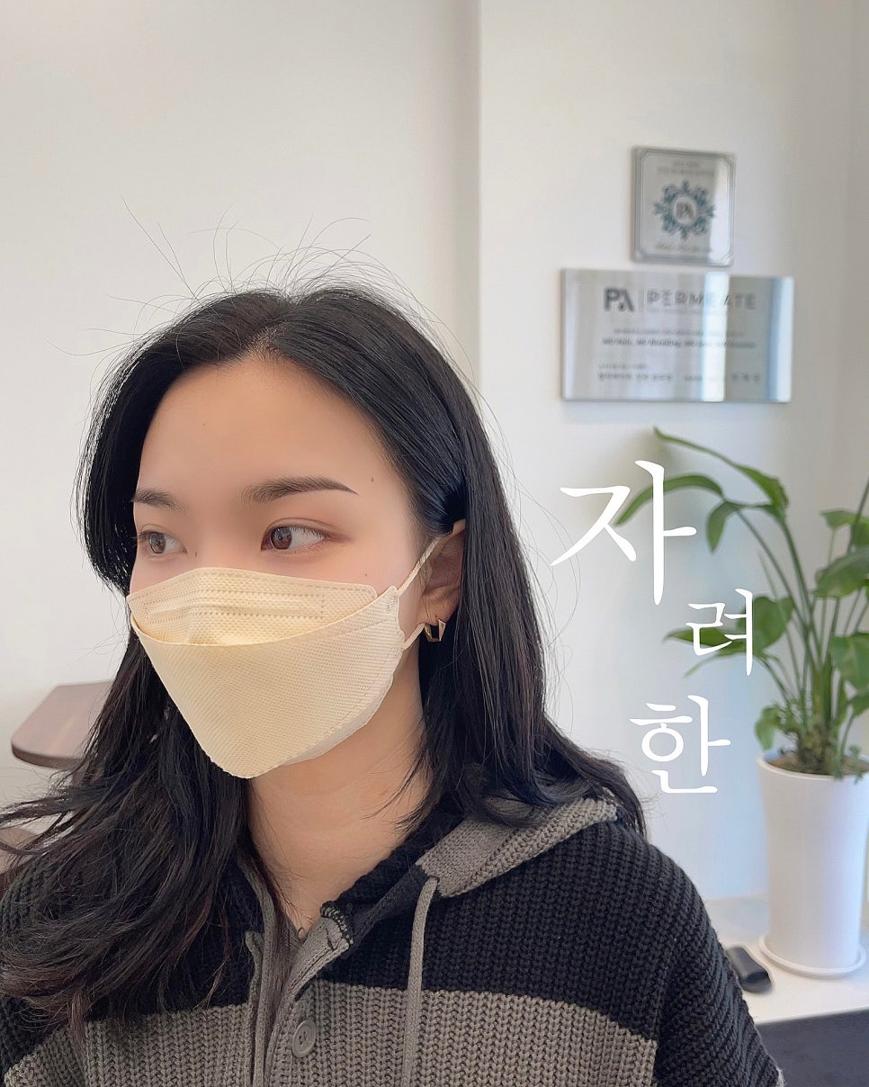펄미에이트 이미지