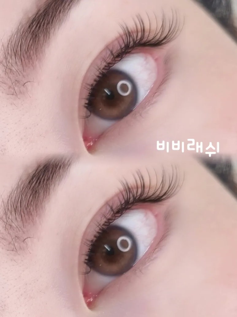 비비래쉬 이미지