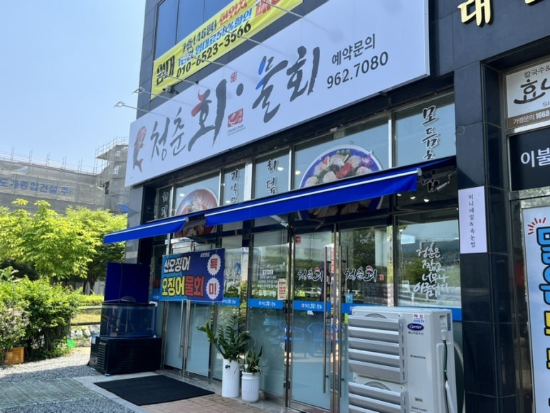 청춘회물회 이미지