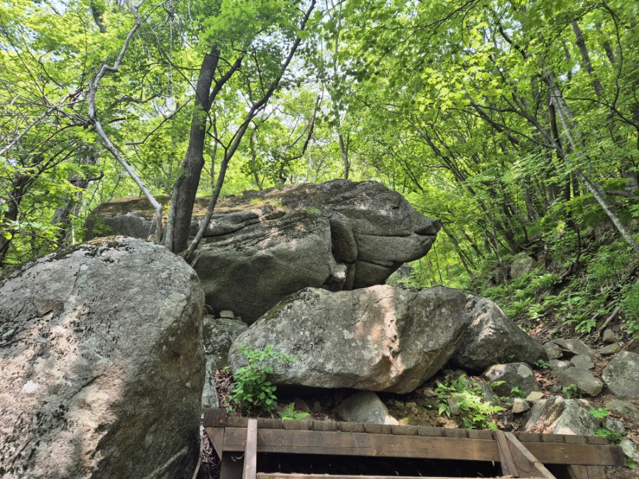 소백산국립공원 초암주차장 이미지