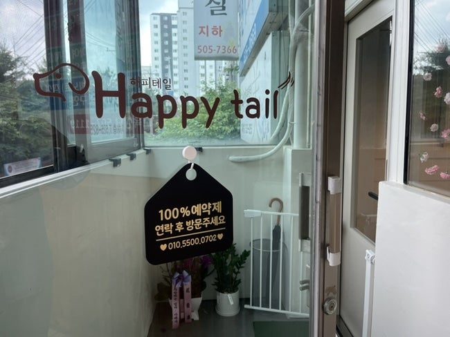 부평 애견미용 해피테일, 산곡동 호텔 후기 — 사진 5