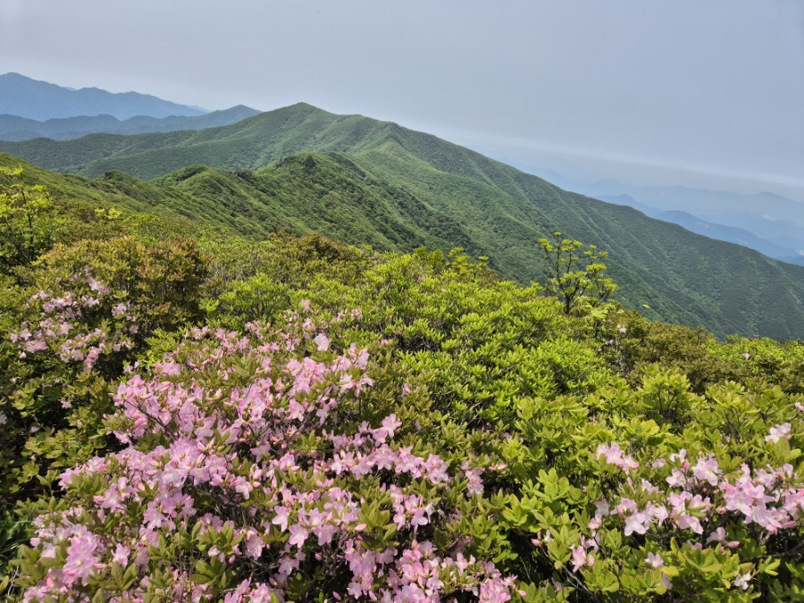 소백산국립공원 초암주차장 이미지