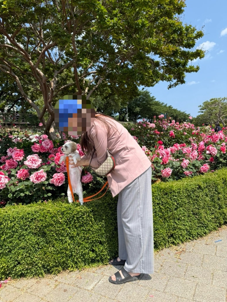 스튜디오리제이 이미지