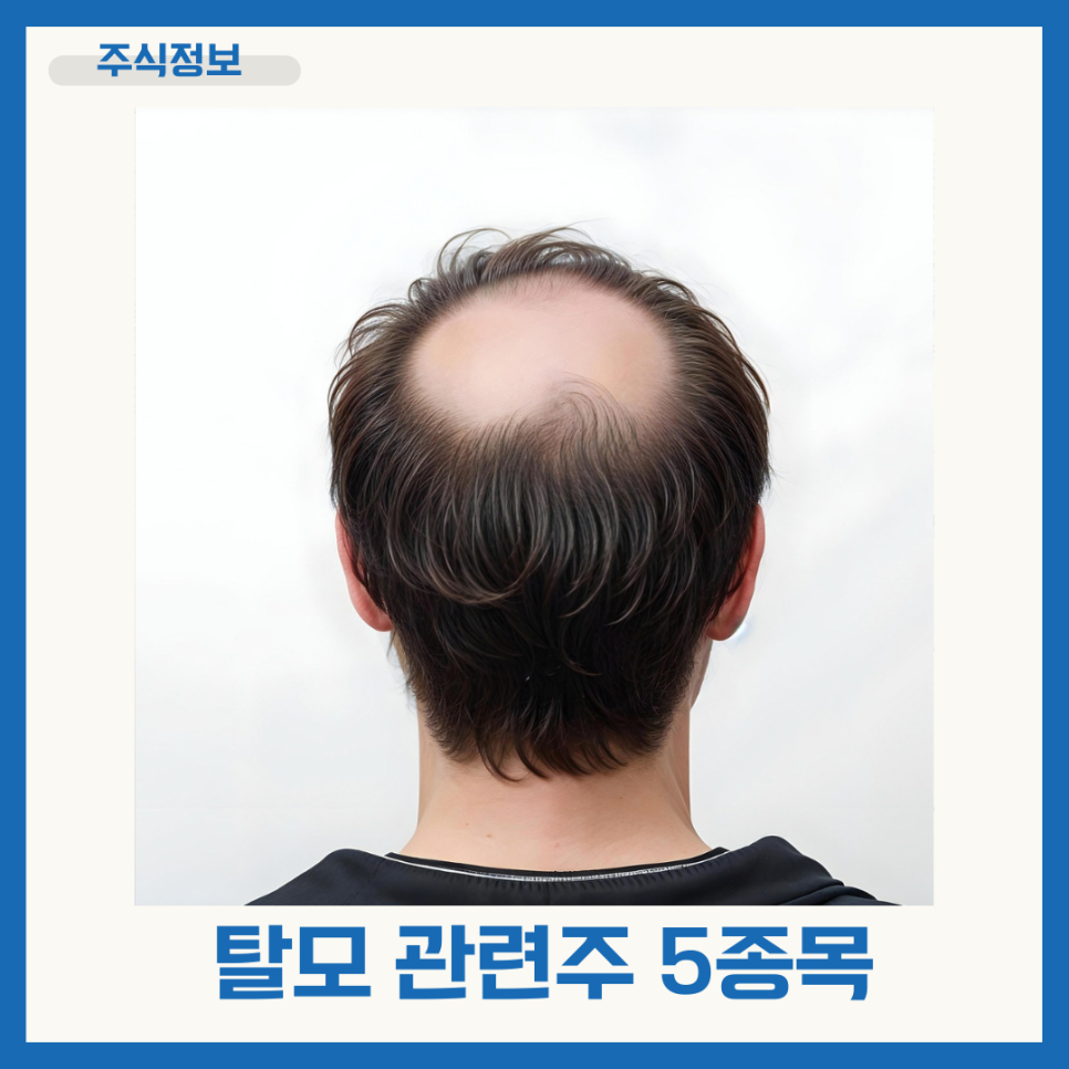 대웅조명 이미지