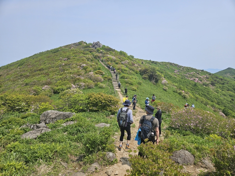 소백산국립공원 초암주차장 이미지