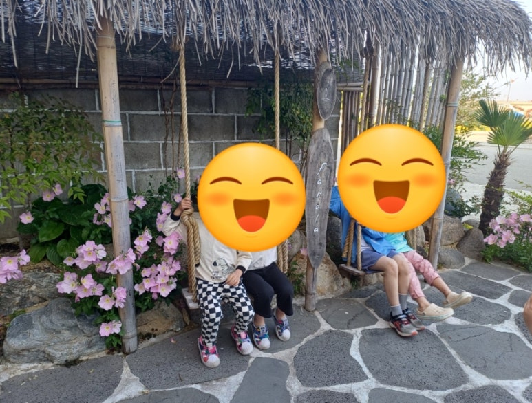 파로라 이미지