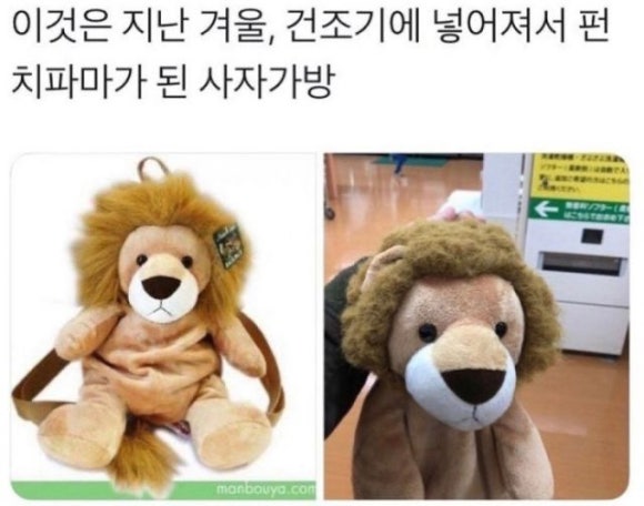 머리가살롱살롱 이미지