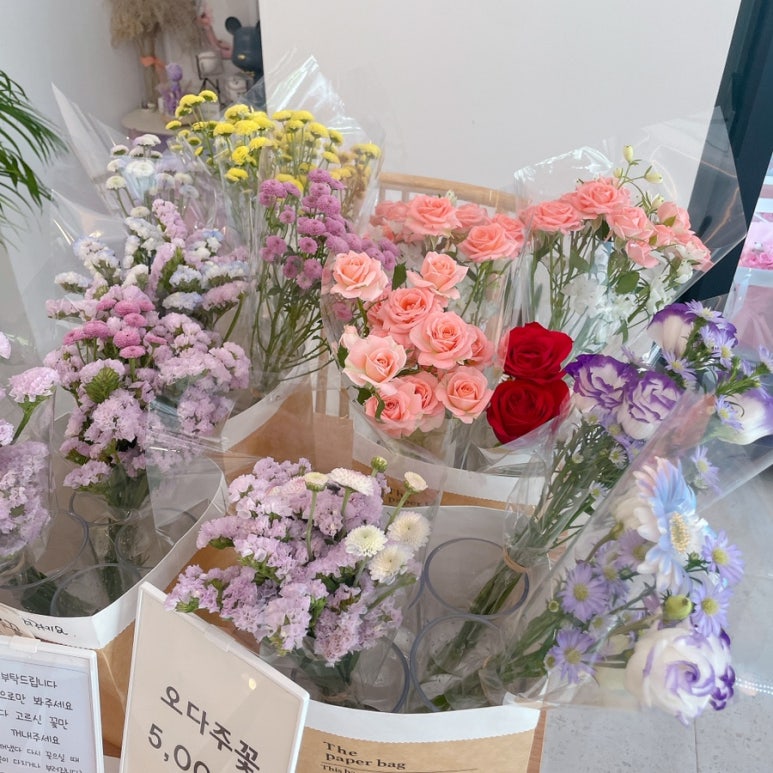 오다주 이미지