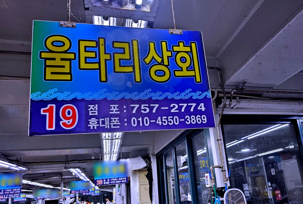 울타리활어센타 이미지