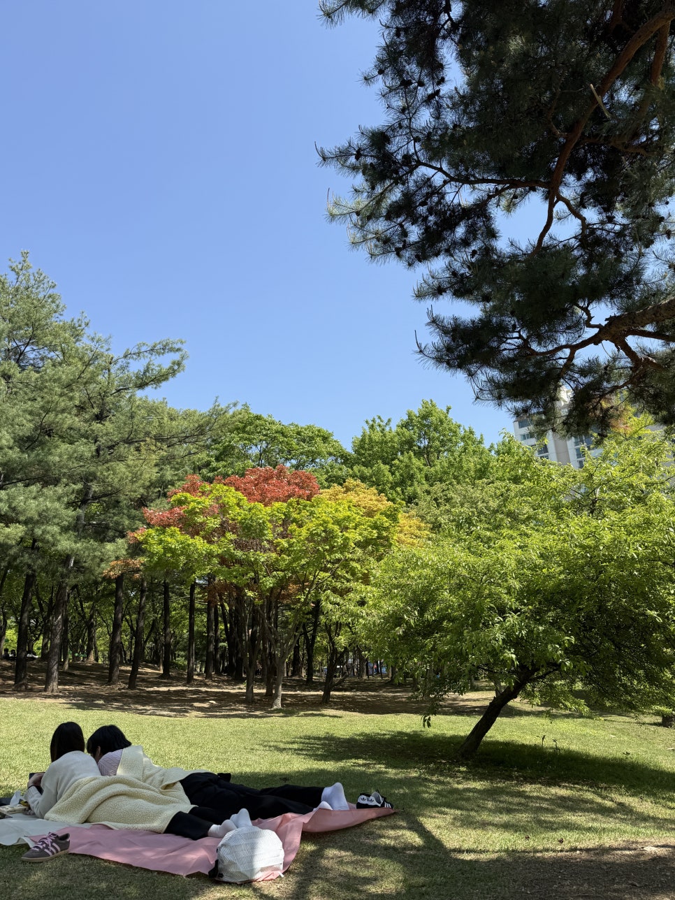 소설옥 이태원점 사진 5