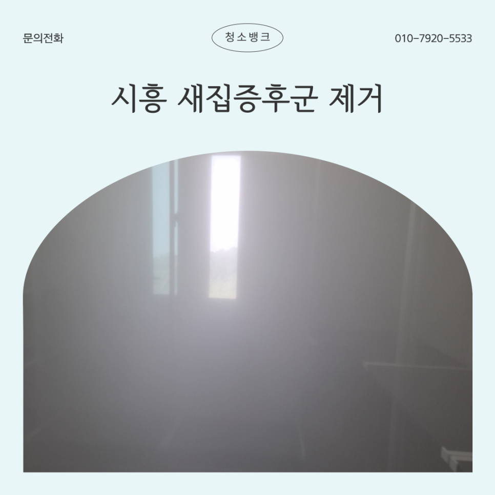 베이크하임 이미지