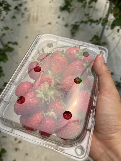 팔당카 이미지