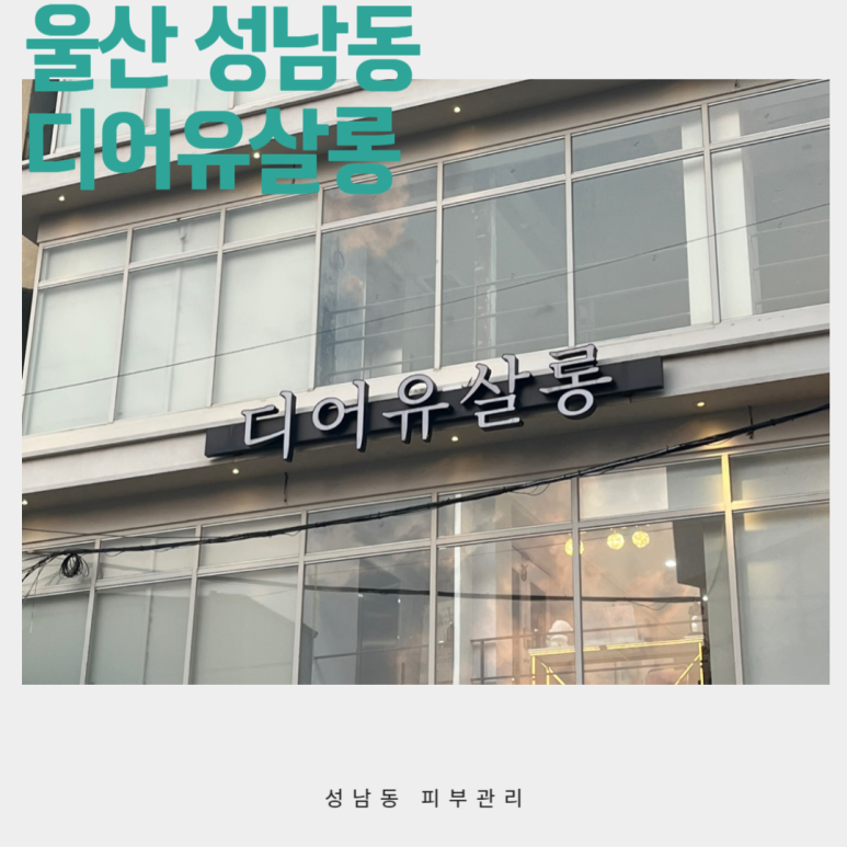 디어유 살롱 이미지