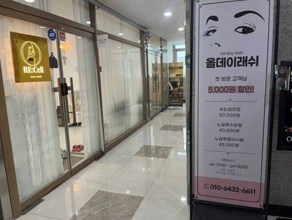 올데이래쉬 이미지