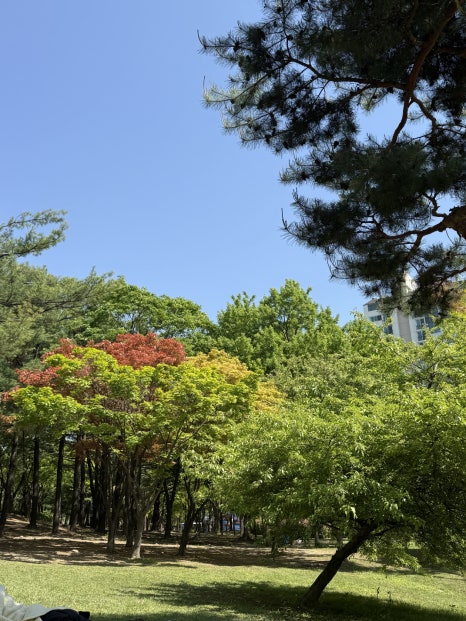 소설옥 이태원점 사진 8