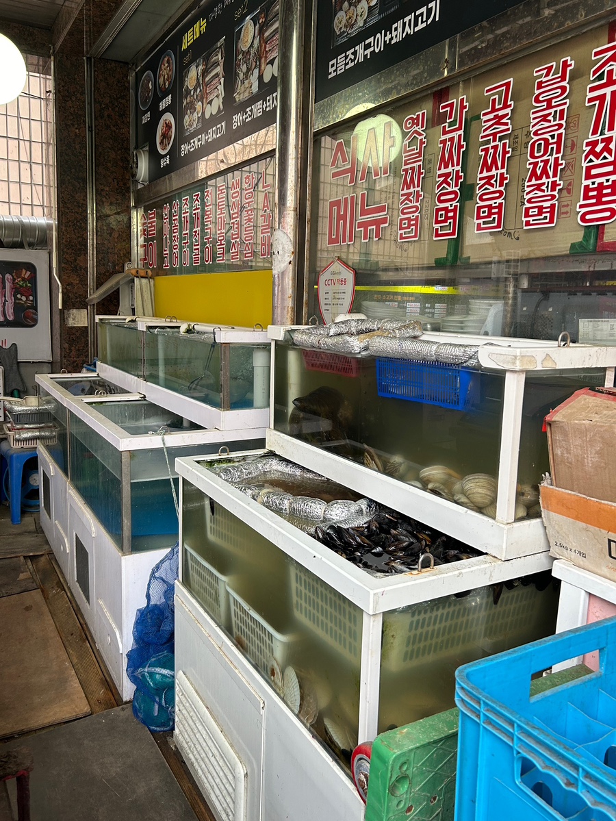 조개맛본돼지 이미지