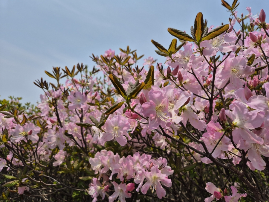 소백산국립공원 초암주차장