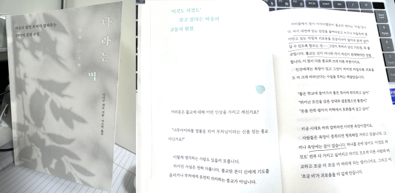 간파나라 이미지