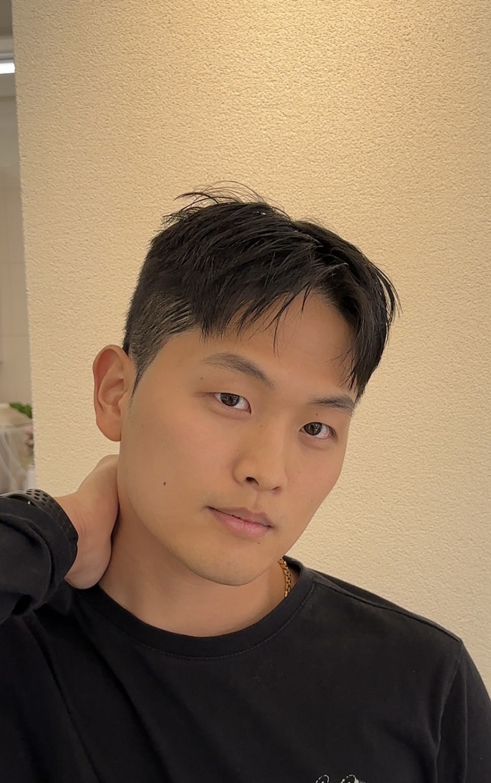 아르보헤어 이미지