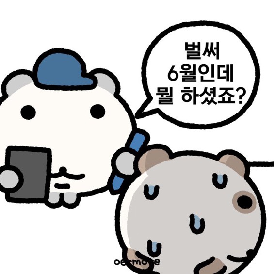 디델리 이미지