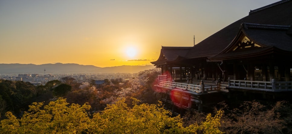 이 푸른농산물 이미지