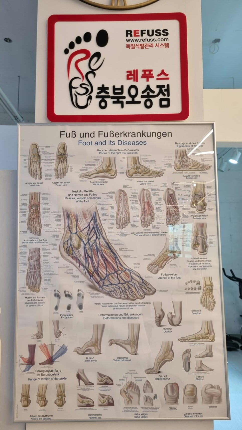 엘앤제이왁싱레푸스오송점 이미지