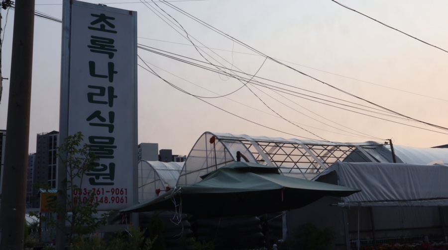 초록나라식물원 이미지