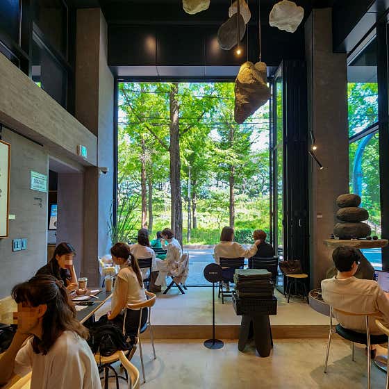 행운맛집 이미지