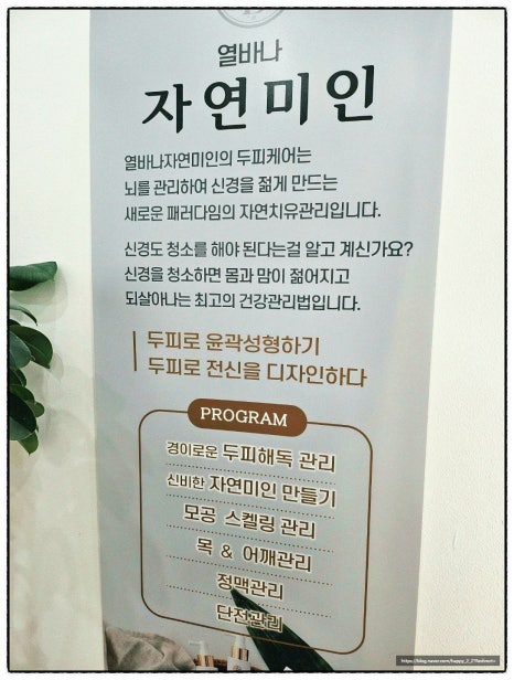 열바나자연미인 이미지