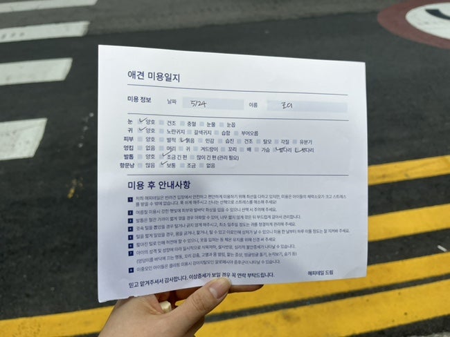 부평 애견미용 해피테일, 산곡동 호텔 후기 — 사진 19