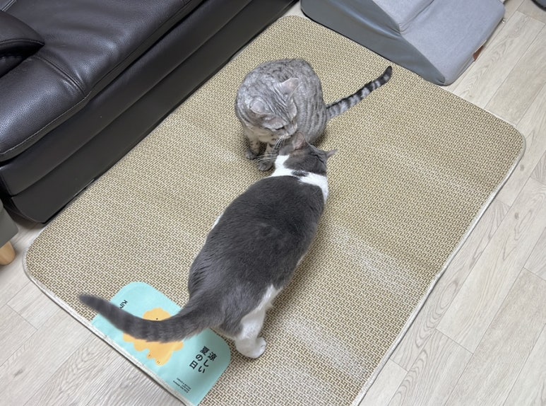 모두다요기 이미지