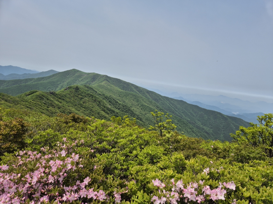 소백산국립공원 초암주차장 이미지