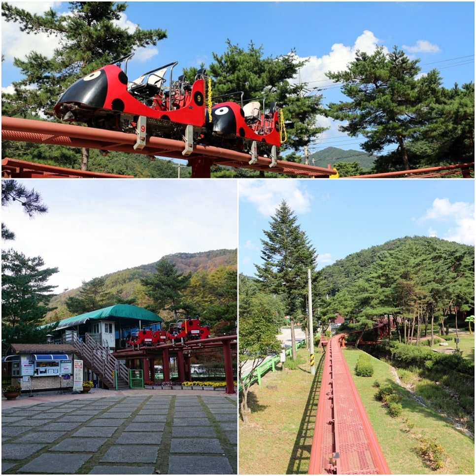 솔향공원 스카이바이크 시설 이미지