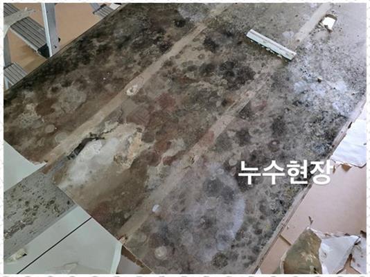 가온인테리어 이미지