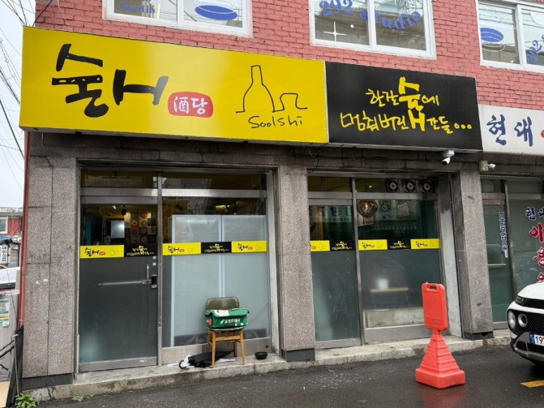 술시 사진 5