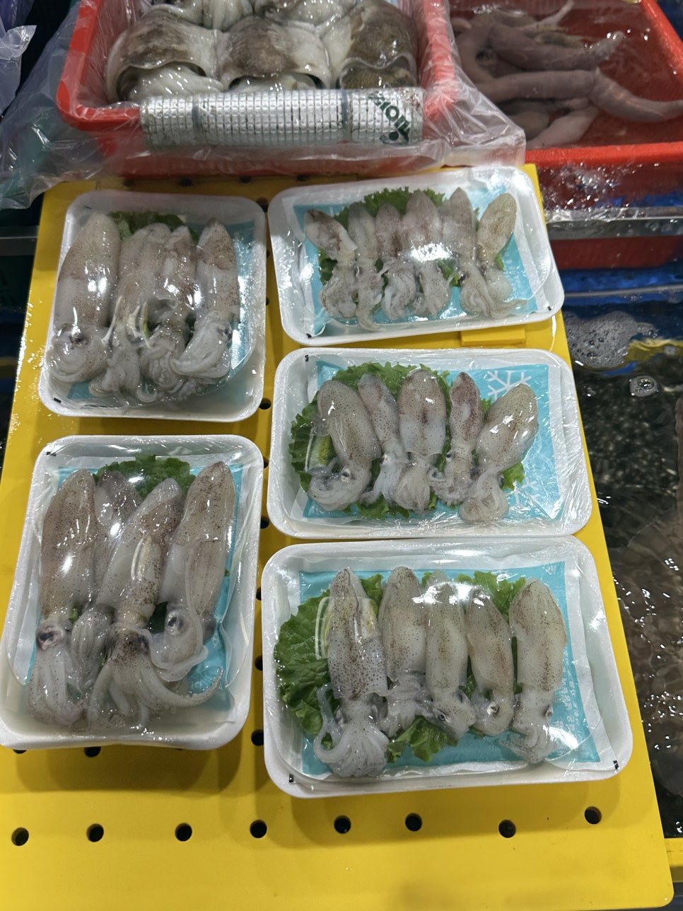 숙이네수산 이미지